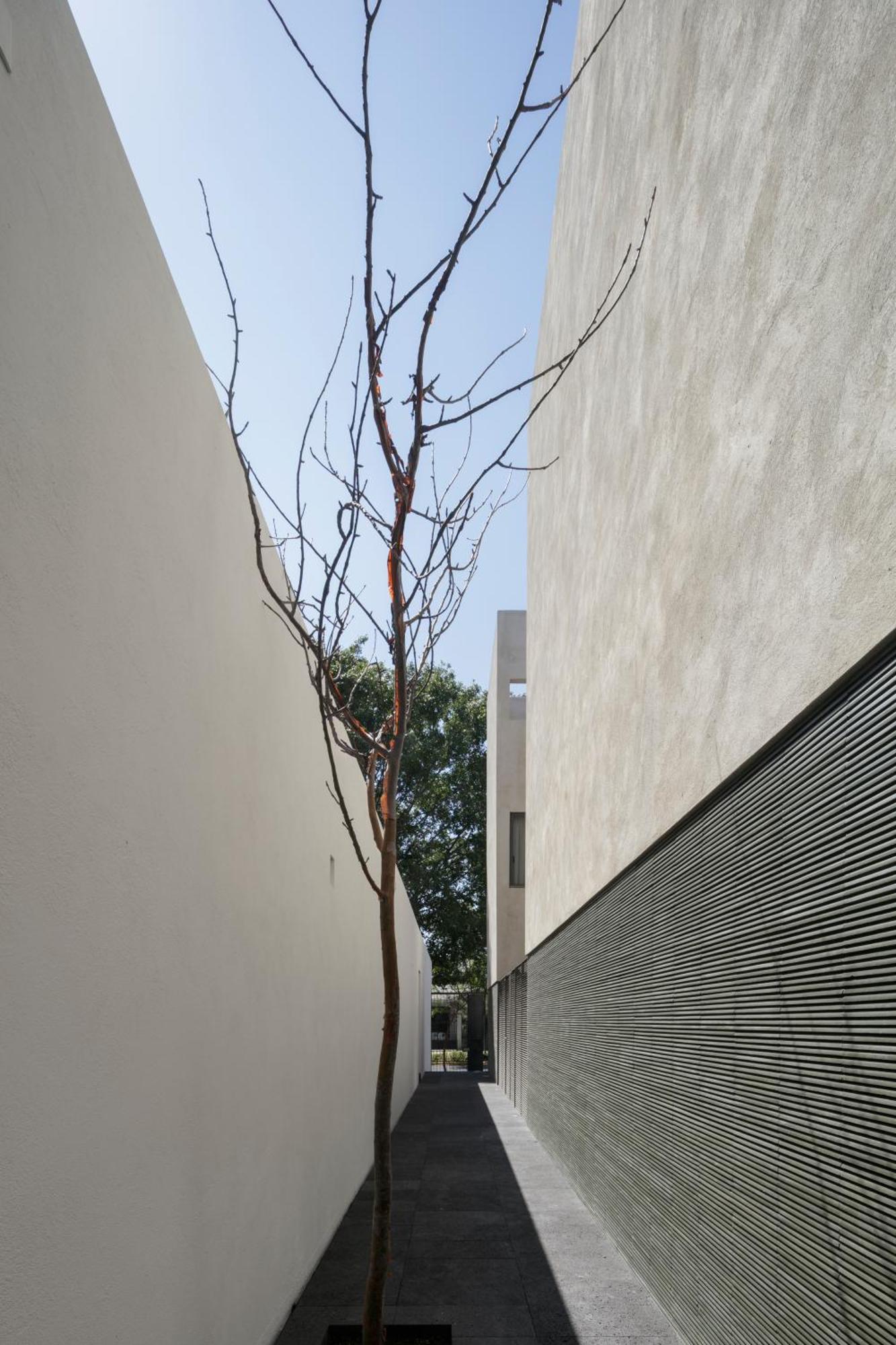 Suites Everness Guadalajara Zewnętrze zdjęcie